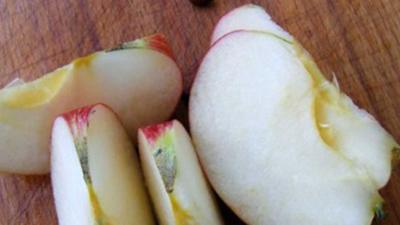 Cut-apple-slices_Wikimedia