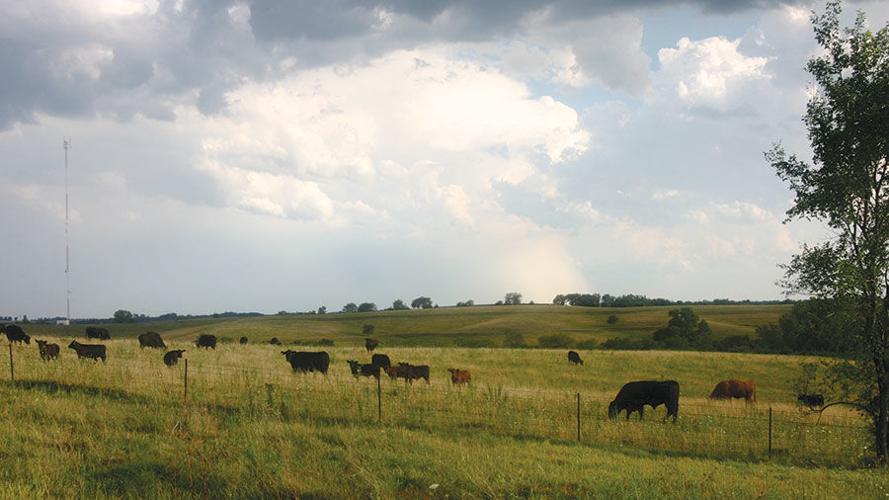 Clouds over pasture
