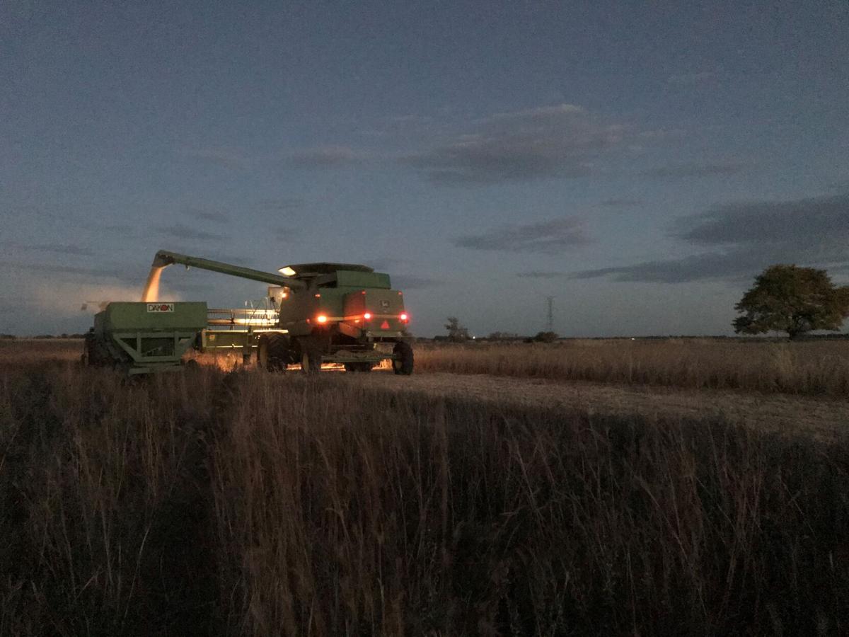 Combine at night