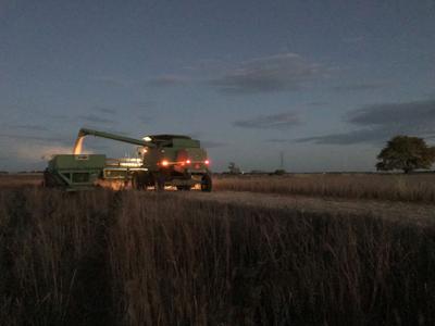 Combine at night