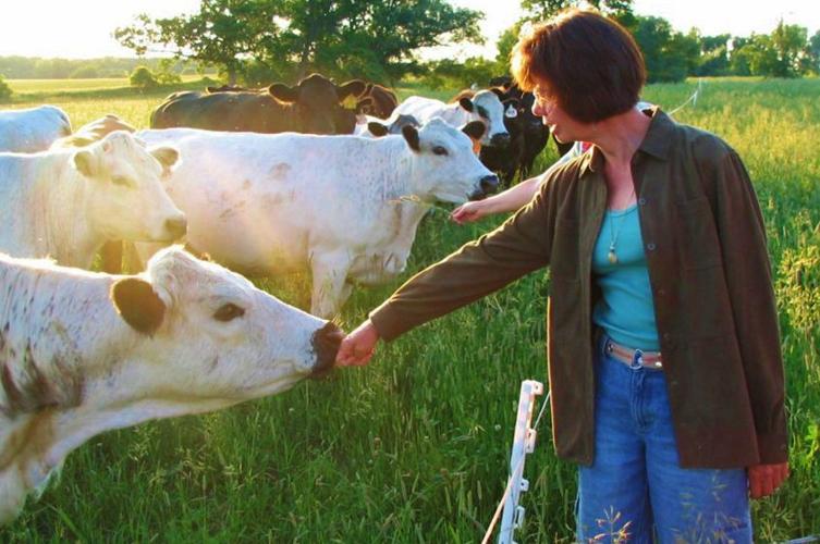 Woman visiting with cow