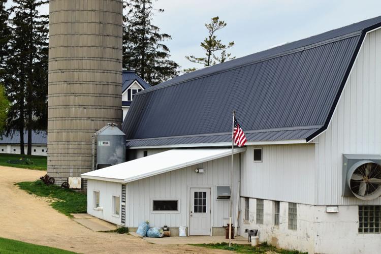 Hi-Way Holstein Ranch navy-blue metal roof