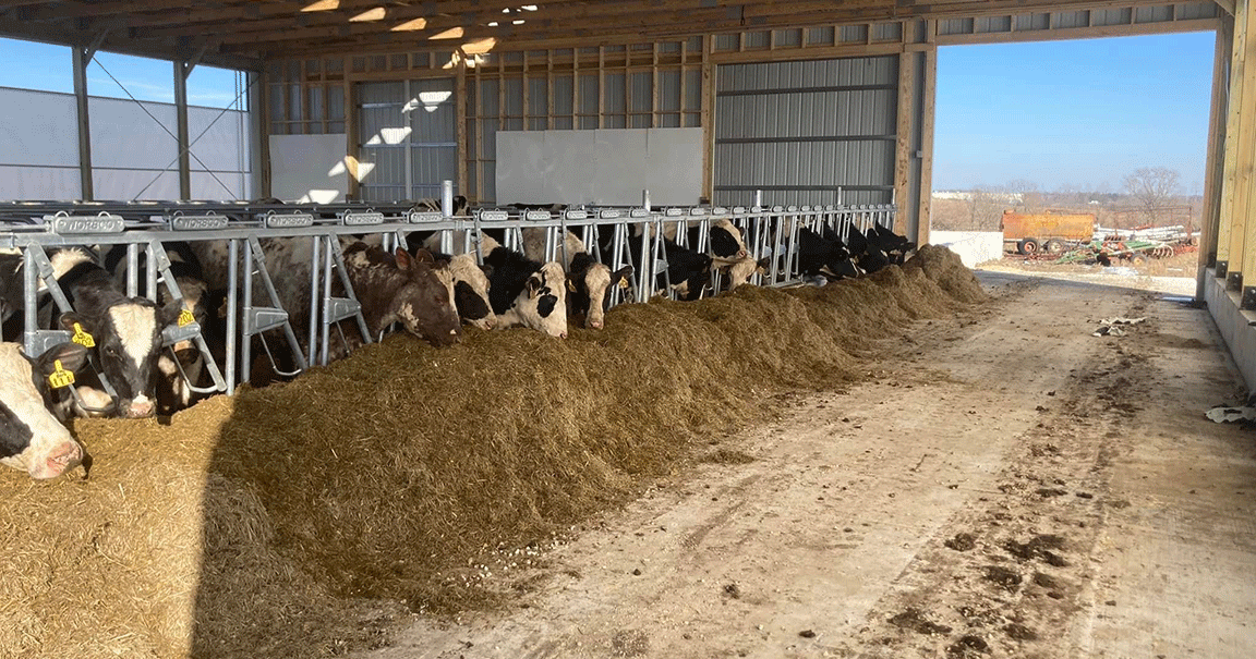 Dairy industry gets mixed market signals