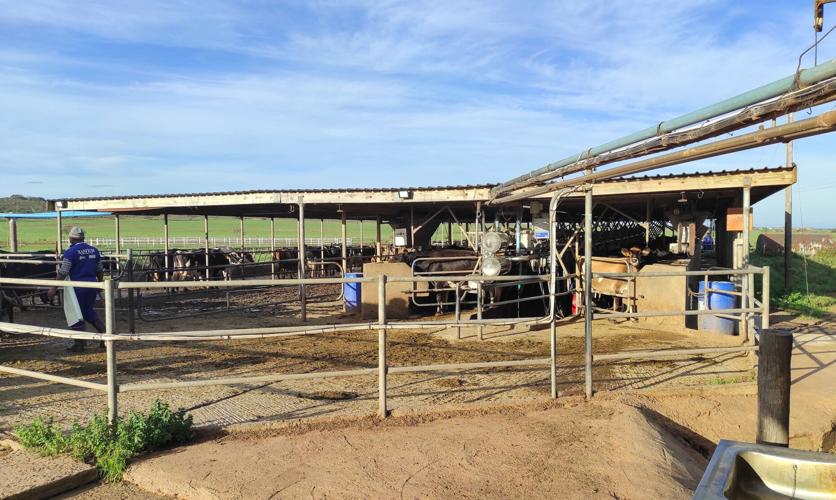 Milking parlor