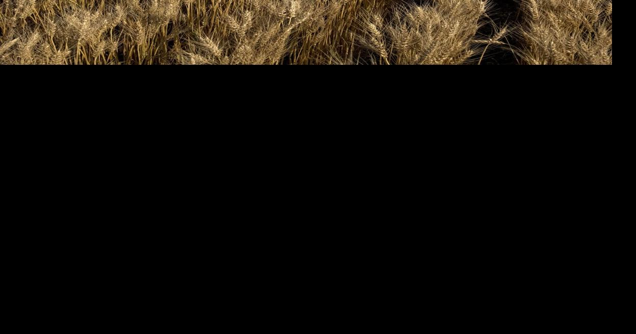 CW Holzwarth (2).jpg