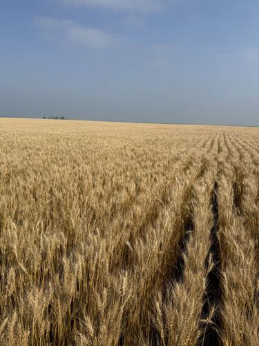 CW Holzwarth (2).jpg