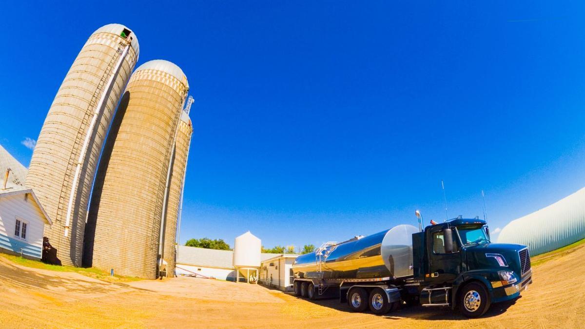 Proper silage harvesting methods key to reducing feed costs