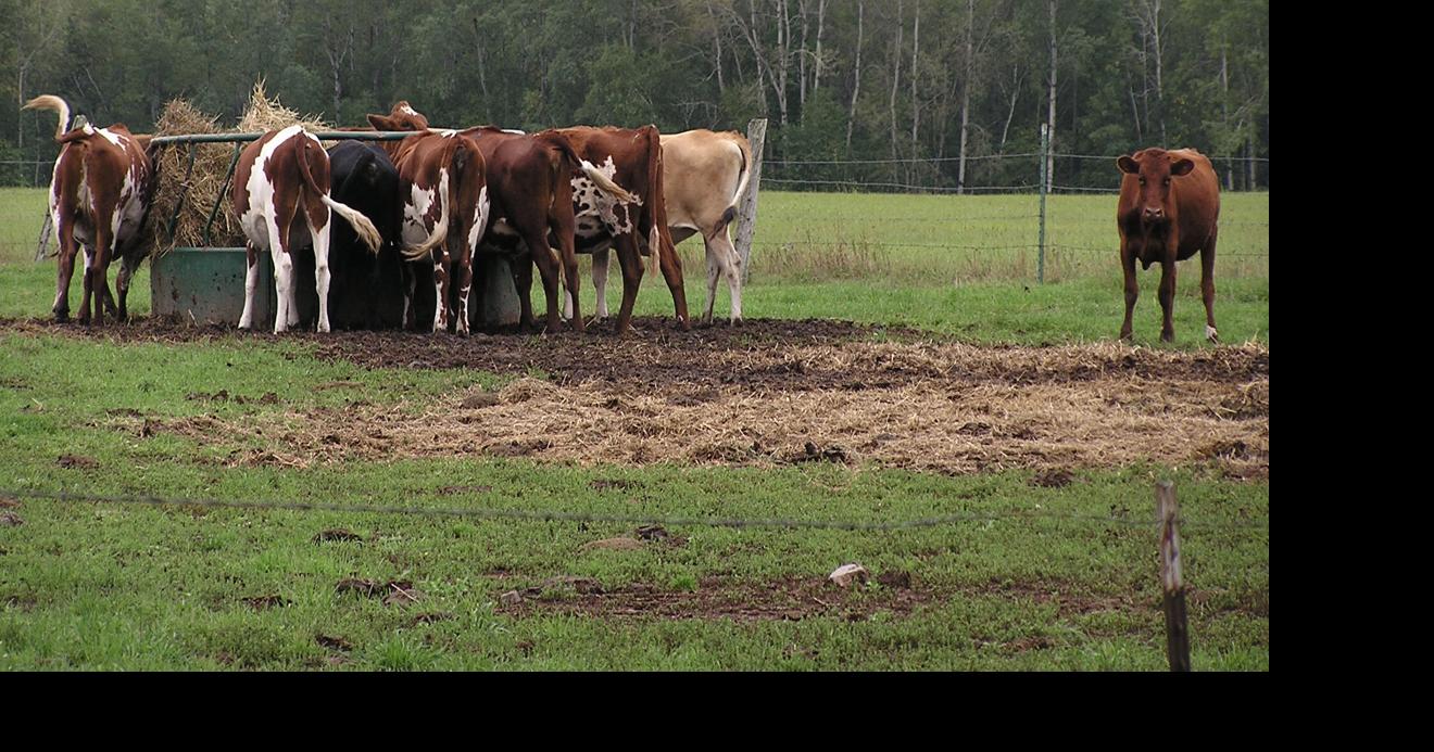 From the Fields: Jason Maloney
