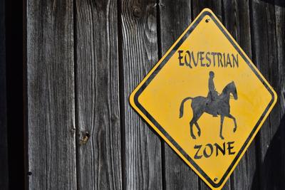 Little Hooves - Big Heart