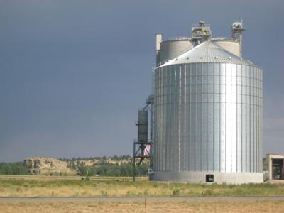 High speed wheat transport