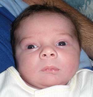 Births-Dayne Nicholas Brown 