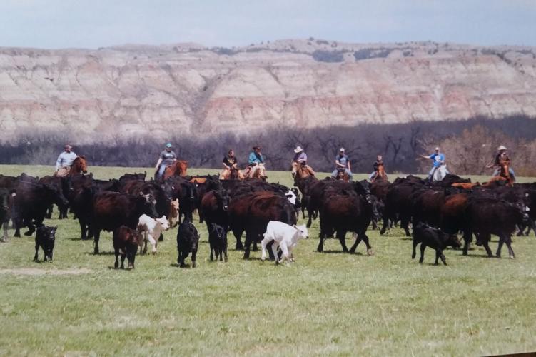 Moving cattle from grazing allotment