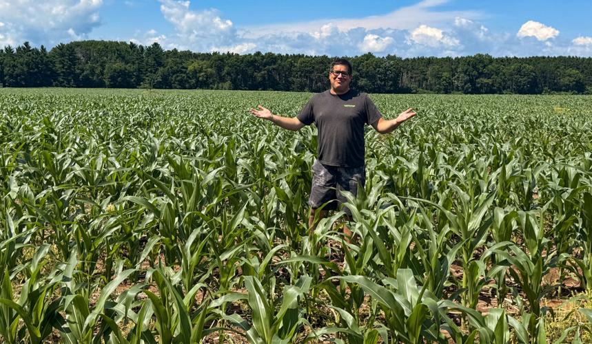 Ben Stern cornfield