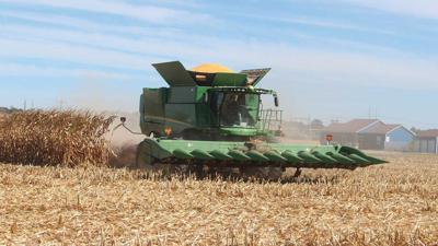Browning, combines corn