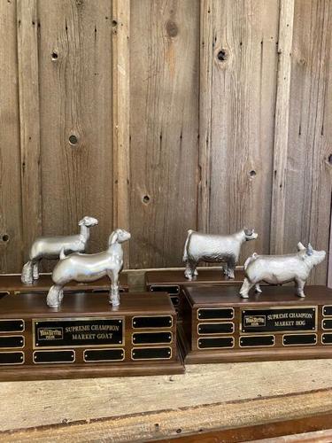 Schlipf design 8.jpg