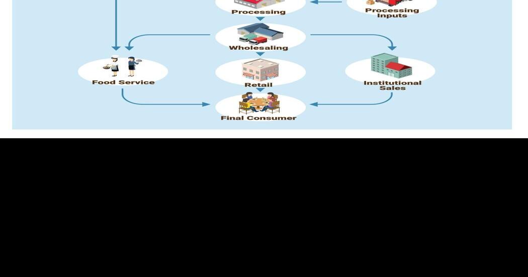 Supply chain for potatoes