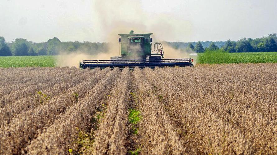 Combine in field
