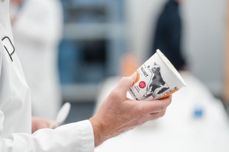 Ice cream judging