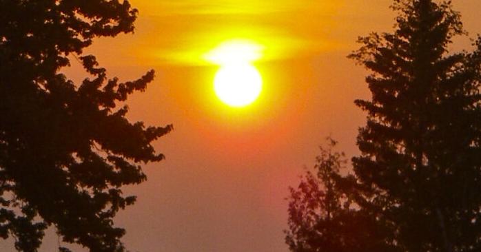 2024 summer weather predictions: expect heat waves this year - Vimarsana News