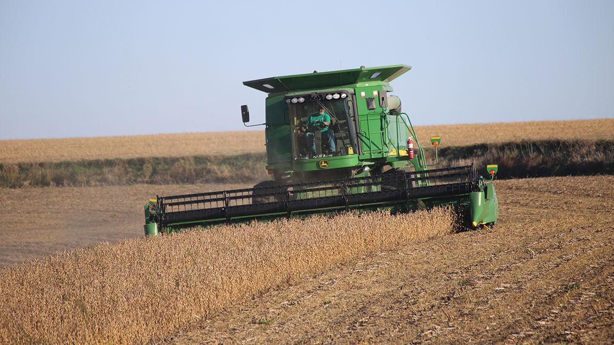 Perry Sinner harvests soybeans