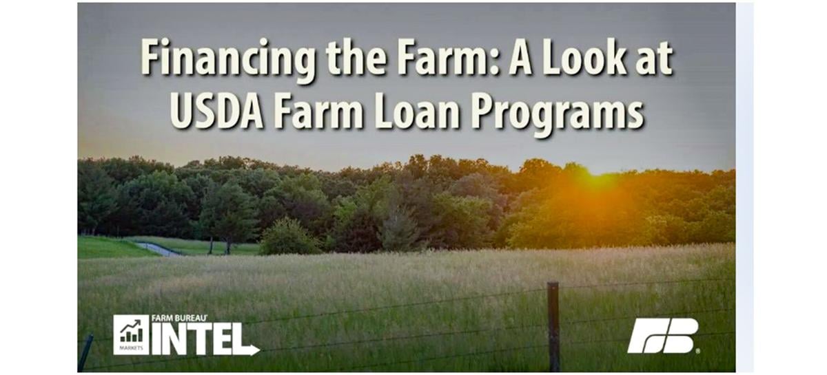 Farm loan programs