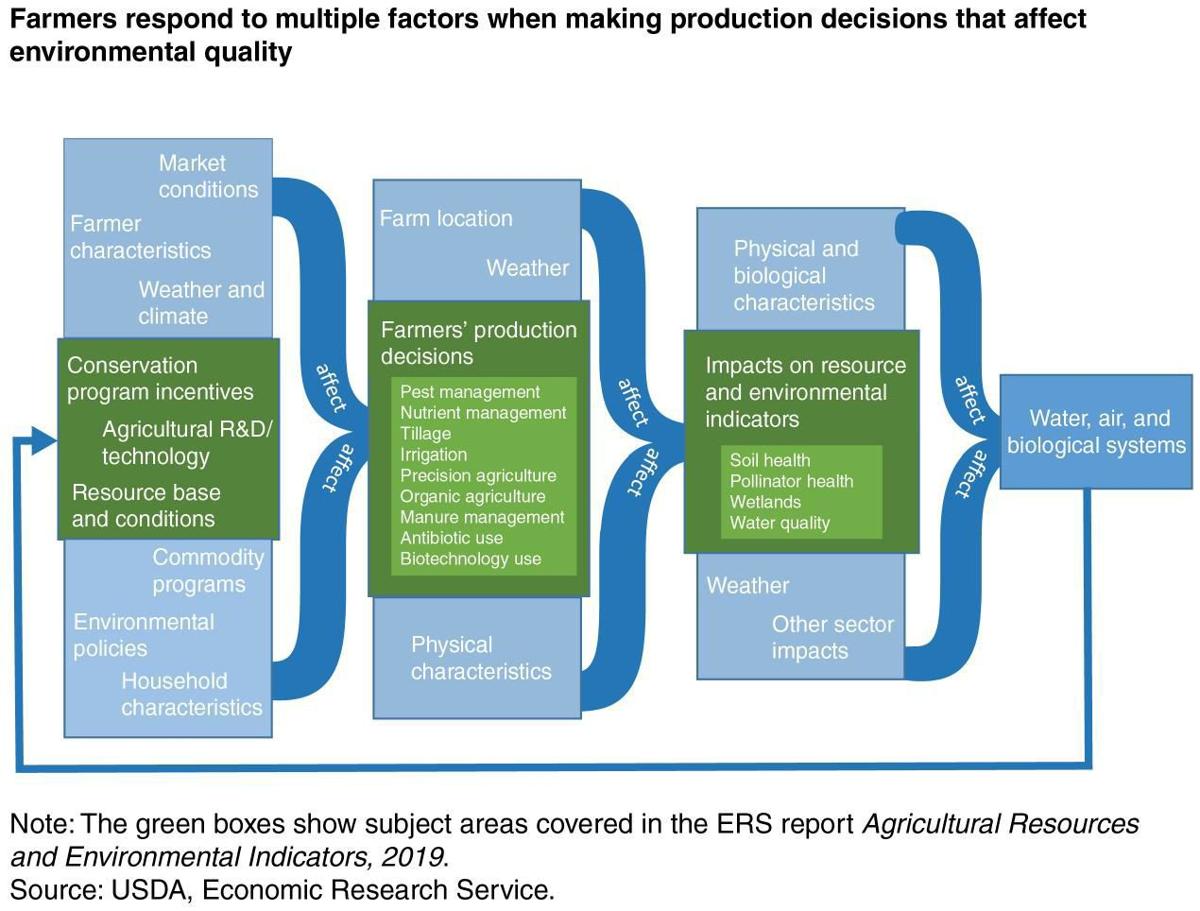 Farmers respond to factors when making production decisions that affect environmental quality