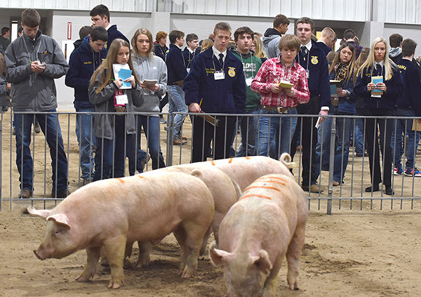 FFA livestock judges earn shot at state