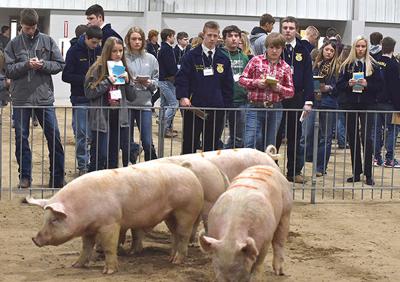 FFA livestock judges earn shot at state