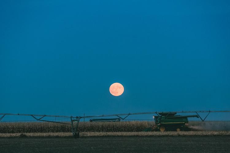 York Nebraska Feature 2.jpg