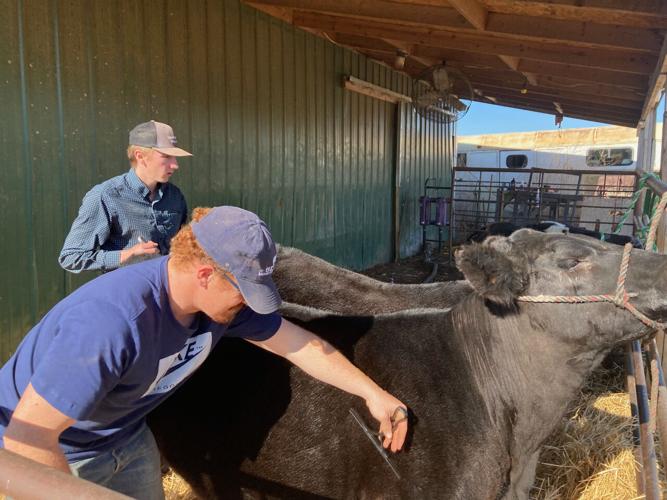 John Odea intro (1).jpeg