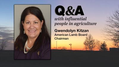 Q & A Gwendolyn Kitzan