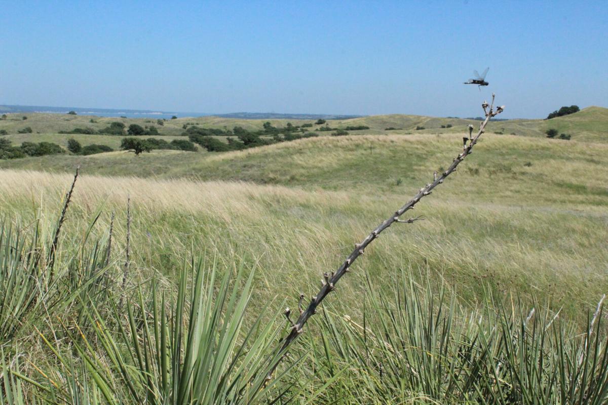 Jessen Ranch (25).JPG