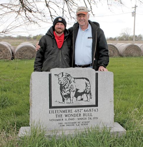 headstone marks the final resting place for Eileenmere 487