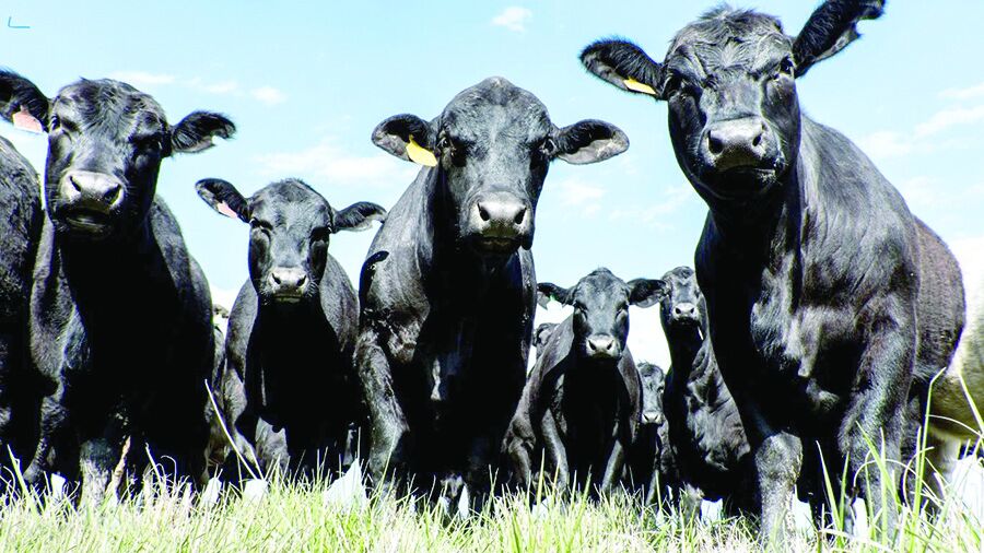 Production practices