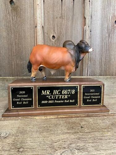 Schlipf design 10.jpg