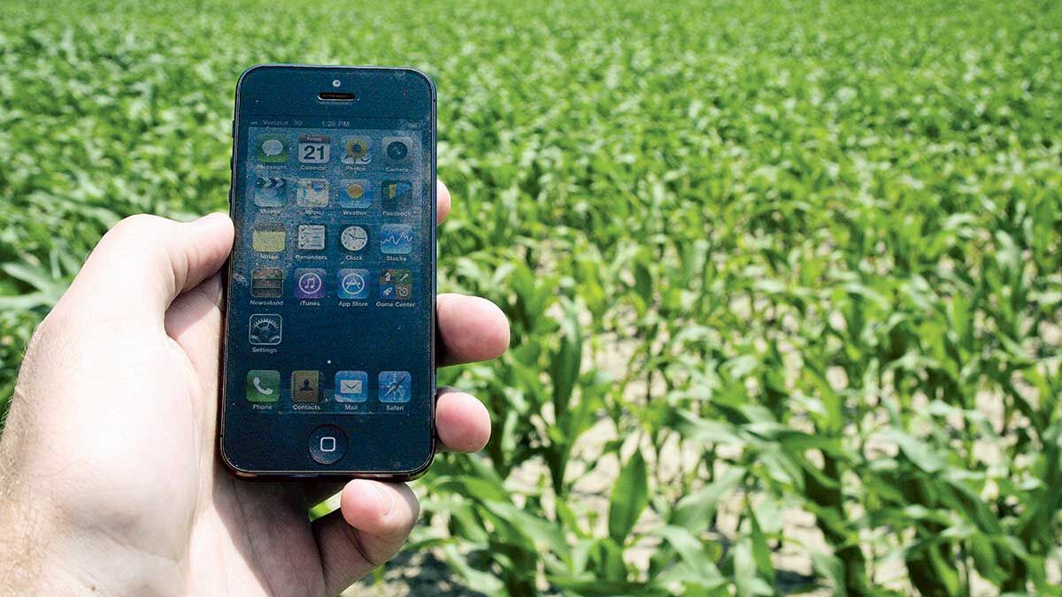 iphone in field