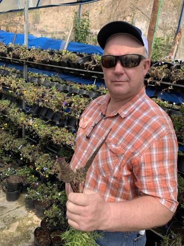 Jay Esser greenhouse