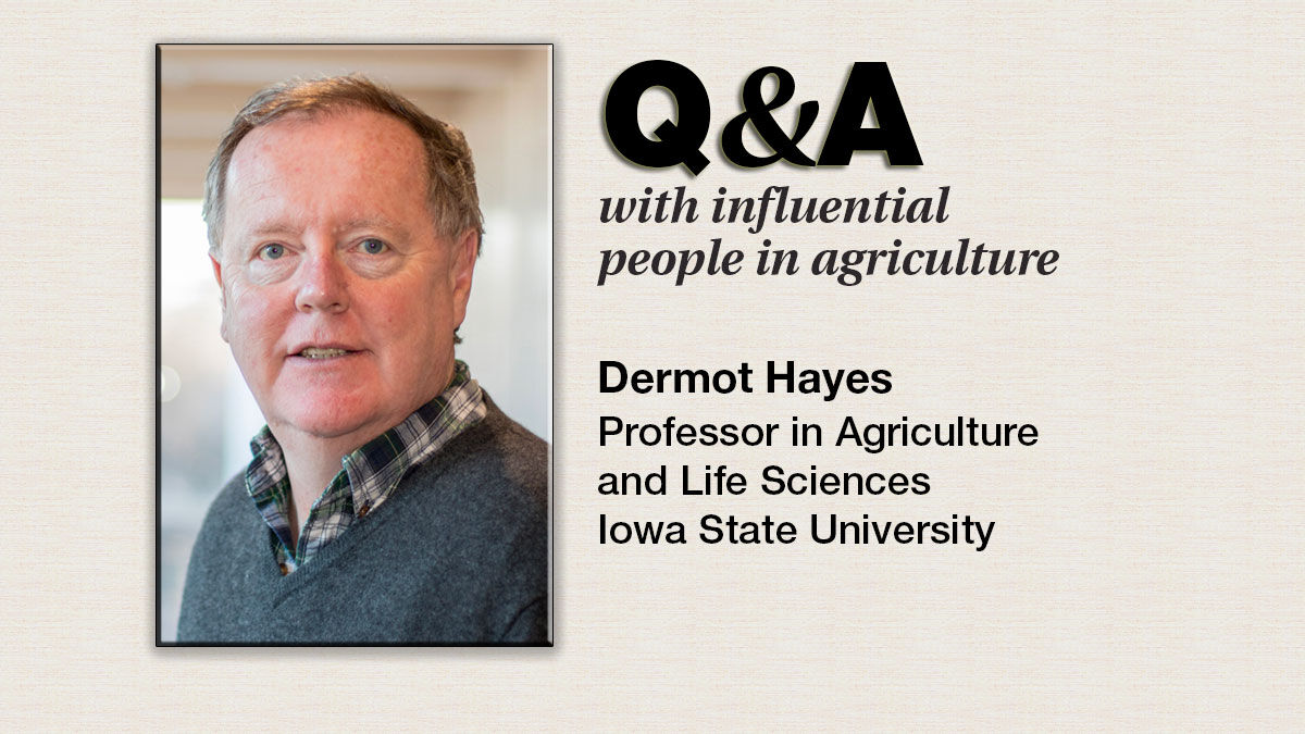 Q & A Dermot Hayes