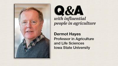 Q & A Dermot Hayes