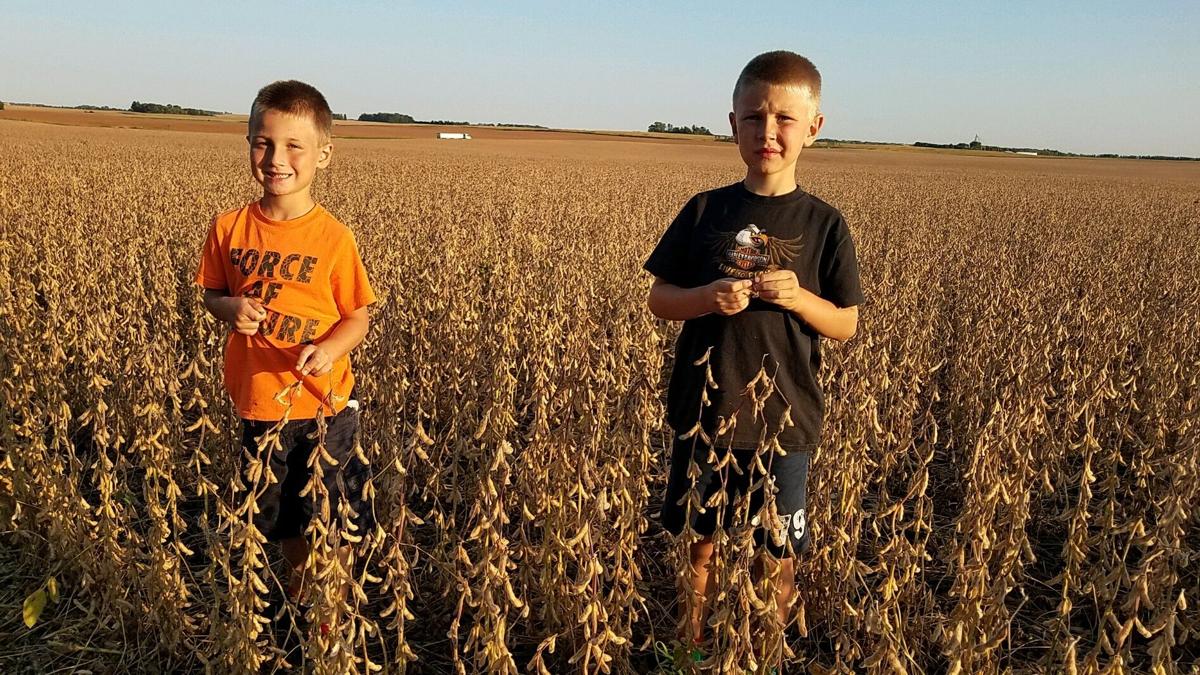 Zeke and Titus at the soybean field for harvest