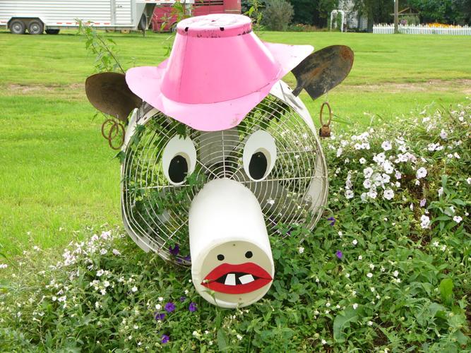 Whimsical cow has fans
