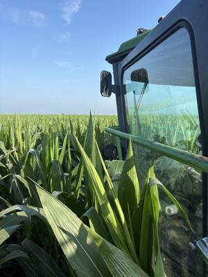 Fertility program paying off on just 35 pounds of nitrogen
