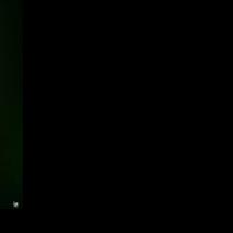 Wheat germplasm shows promise