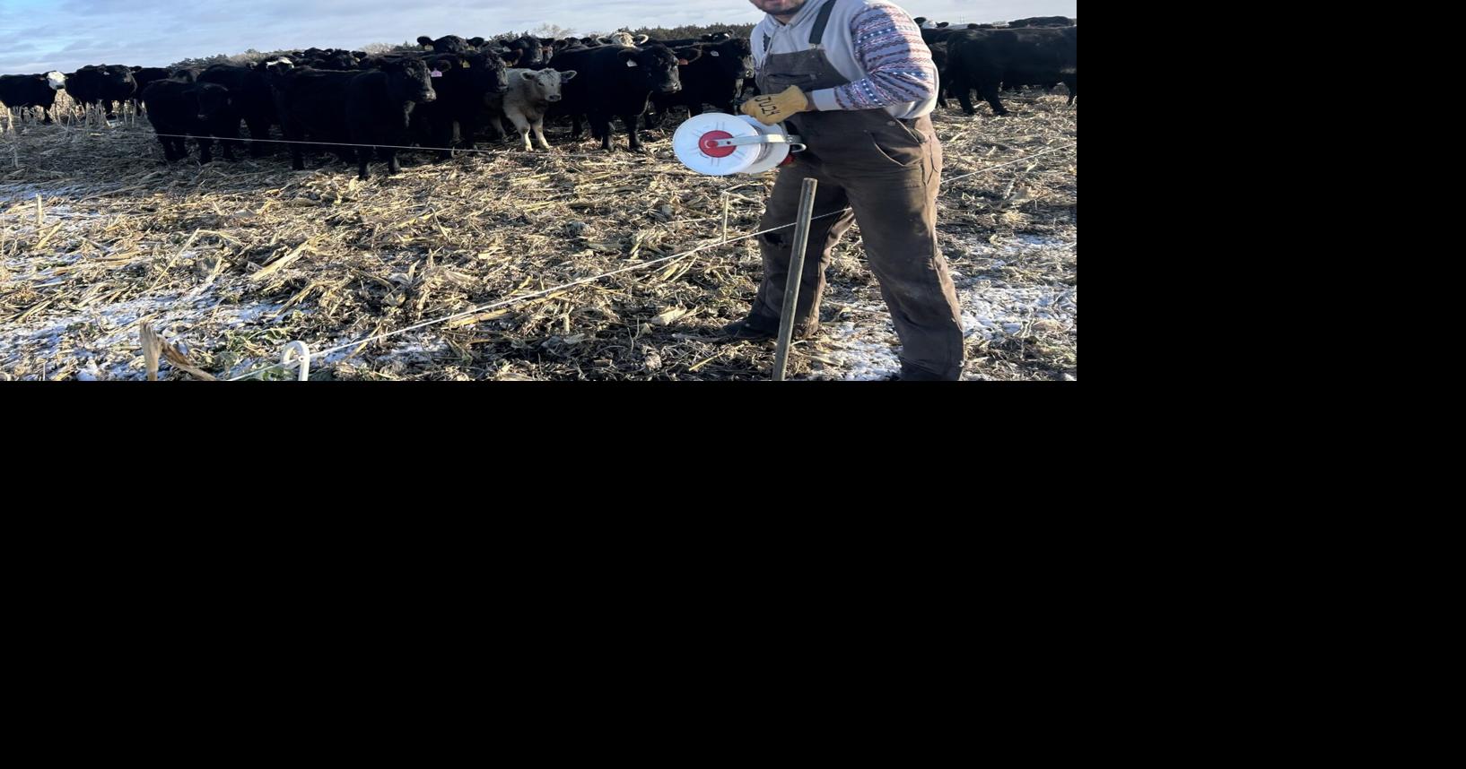 Grazing program saves on resources, including money