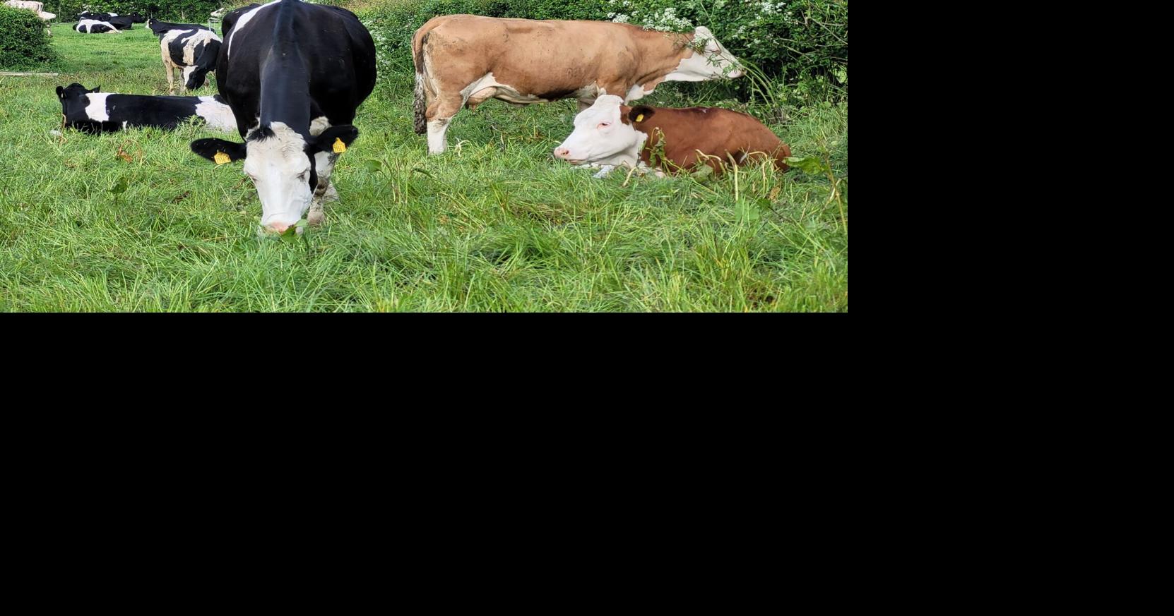 Livestock farmers on high alert
