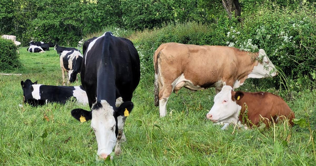 Livestock farmers on high alert