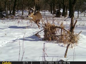 Hunting access (4) MD.JPG