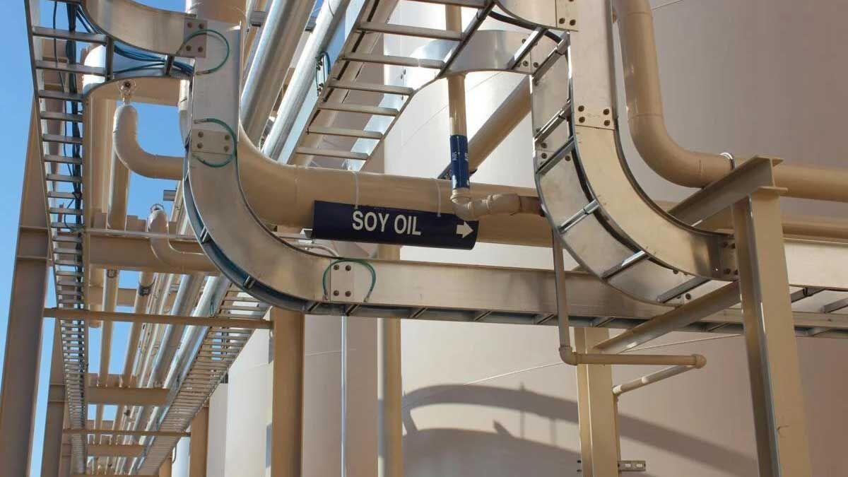 A soy oil line at a biodiesel plant