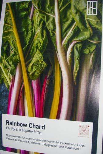 Chard poster