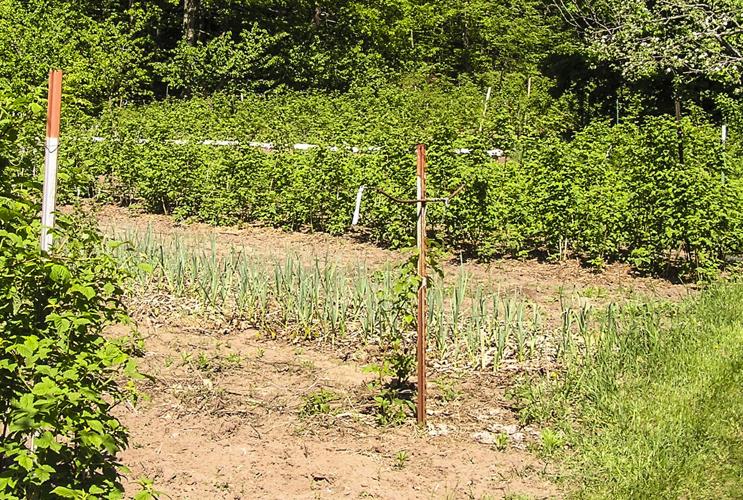 Farm plot